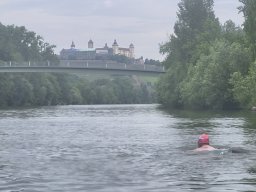 Mainschwimmen Juni 2026